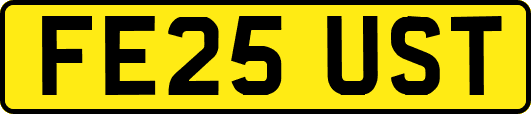 FE25UST