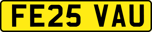 FE25VAU