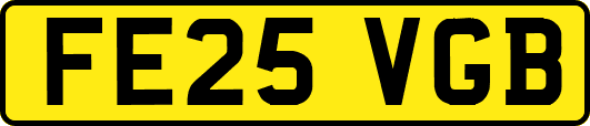FE25VGB