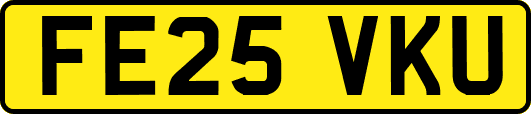 FE25VKU