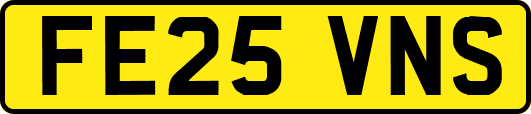 FE25VNS
