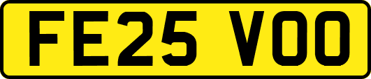 FE25VOO