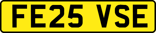 FE25VSE