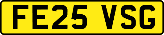 FE25VSG