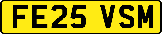 FE25VSM