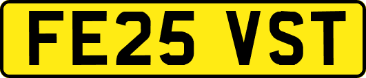 FE25VST