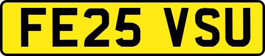 FE25VSU