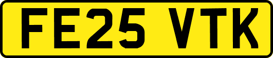 FE25VTK