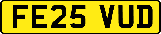 FE25VUD