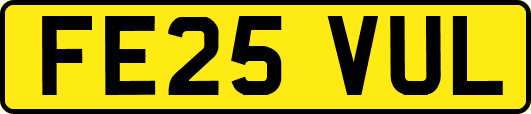 FE25VUL