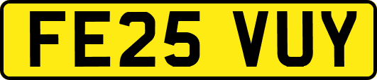 FE25VUY