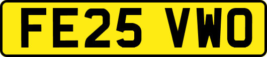 FE25VWO