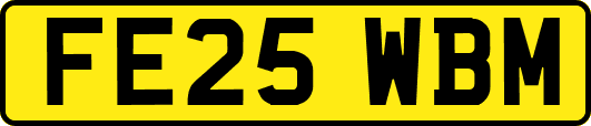 FE25WBM