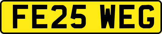 FE25WEG