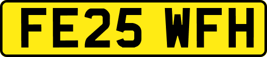 FE25WFH