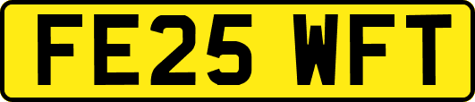 FE25WFT