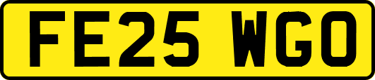FE25WGO