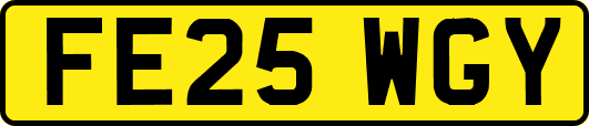 FE25WGY