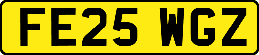 FE25WGZ