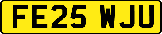 FE25WJU