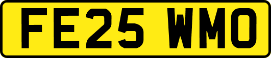 FE25WMO