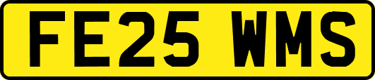 FE25WMS