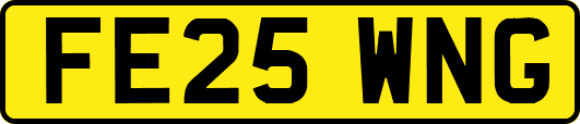 FE25WNG