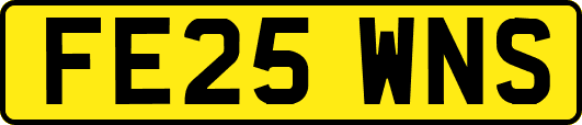 FE25WNS