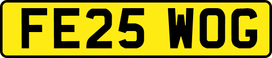 FE25WOG