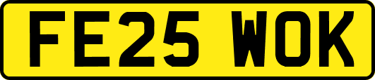 FE25WOK