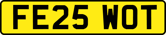 FE25WOT