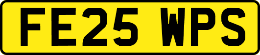 FE25WPS