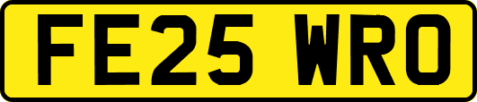 FE25WRO