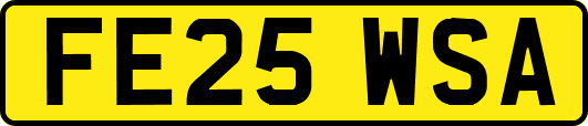 FE25WSA