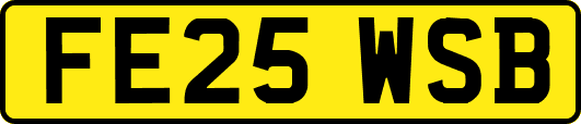 FE25WSB
