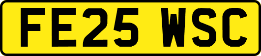 FE25WSC