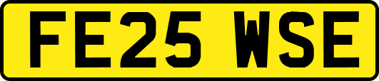FE25WSE
