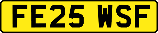 FE25WSF
