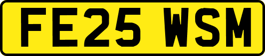 FE25WSM