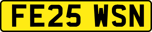 FE25WSN
