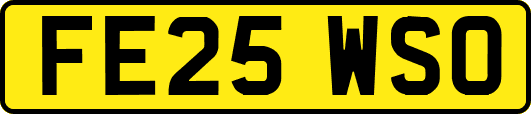 FE25WSO