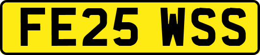 FE25WSS