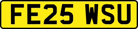 FE25WSU
