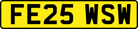 FE25WSW