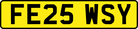 FE25WSY