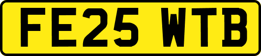 FE25WTB