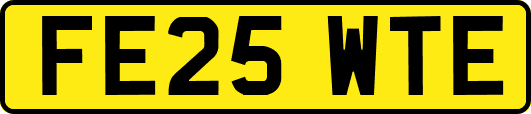 FE25WTE