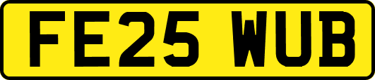 FE25WUB