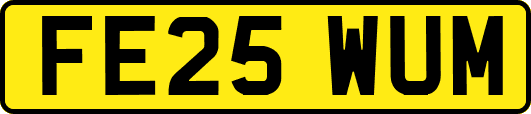 FE25WUM