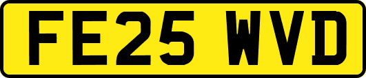 FE25WVD